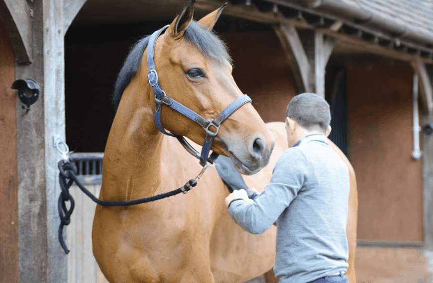 Nutrition’s Influence on Foal Development
